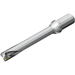 Sandvik Coromant - Indexable Insert Drills Drill Style: DS20 Drill Diameter (mm): 28.00 - Exact Tool & Supply