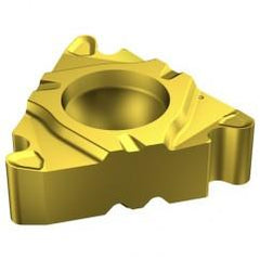266RG-22RN01A040M Grade 1020 Threading Insert - Exact Tool & Supply