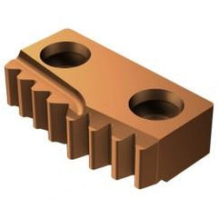 R166.39L-24RD04-100 Grade 1125 Right Hand - Internal - Threading Insert - Exact Tool & Supply