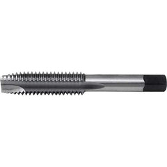 Cle-Line - 1/4-20 UNC3-Flute Bright Finish High Speed Steel Spiral Point Tap - Exact Tool & Supply