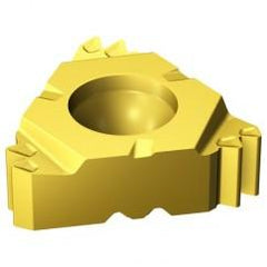 266RL-22MM02A250E Grade 1020 Threading Insert - Exact Tool & Supply