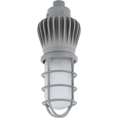 Hubbell Lighting - Hazardous Location Light Fixtures Resistance Features: Vaporproof Recommended Environment: Indoor; Outdoor - Exact Tool & Supply