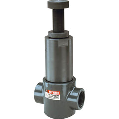 Hayward - Pressure Regulating Valves; Pipe Size: 1/4 (Inch); End Connections: Threaded ; Material: PVC ; Seal Material: FPM ; Minimum Working Pressure (psi): 5.0 ; Maximum Working Pressure (psi): 75.000 - Exact Tool & Supply