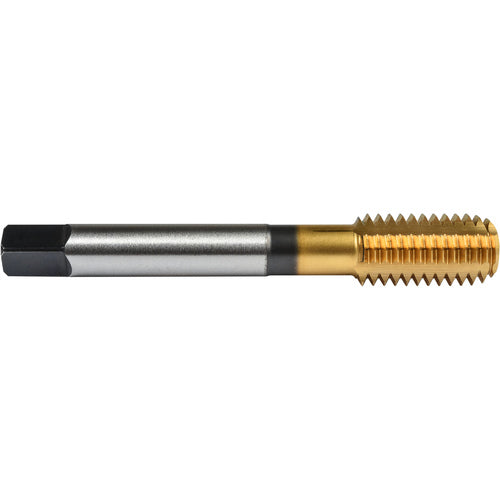 ‎3/8″- 16 Union Butterfield HSS-PM TiN Applix UNC UNC Machine Forming Tap ANSI E-code # 16413/8X16H7 - Exact Tool & Supply