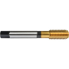 ‎1/4″- 20 Union Butterfield HSS-PM TiN Applix UNC UNC Machine Forming Tap ANSI E-code # 16411/4X20H6 - Exact Tool & Supply