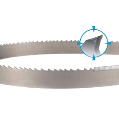 DoALL - - Carbide-Tipped Blade, Toothed Edge, Alternate Tooth Set, Flexible Back Back - Exact Tool & Supply