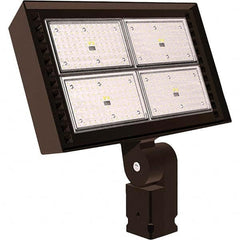 Hubbell Lighting - Floodlight Fixtures Mounting Type: Trunnion Mount Housing Color: Bronze - Exact Tool & Supply