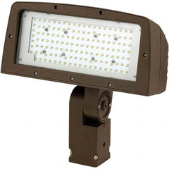 Hubbell Lighting - Floodlight Fixtures Mounting Type: Knuckle Mount Housing Color: Bronze - Exact Tool & Supply