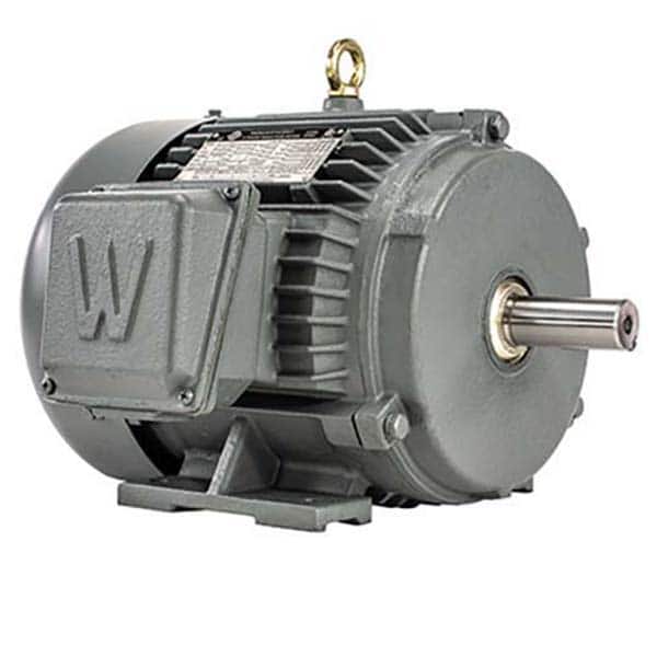 Worldwide Electric - Electric AC/DC Motors Motor Type: Premium Efficient Type of Enclosure: TEFC - Exact Tool & Supply