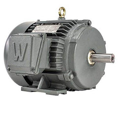 Worldwide Electric - Electric AC/DC Motors Motor Type: Premium Efficient Type of Enclosure: TEFC - Exact Tool & Supply