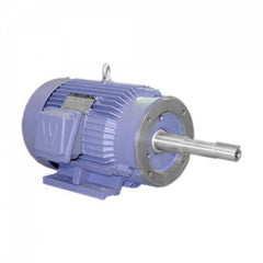 Worldwide Electric - Electric AC/DC Motors Motor Type: Premium Efficient Type of Enclosure: TEFC - Exact Tool & Supply