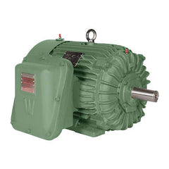 Worldwide Electric - Explosion Proof Motors Horsepower: 125 Efficiency Percent at Full Load: 95.40 - Exact Tool & Supply