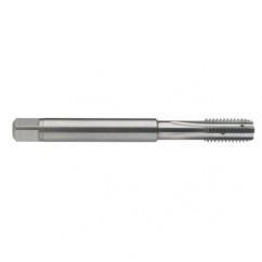 M8 x 1.25 Dia. - 6H - 4 FL - Carbide Semi-Bott Tap - Bright Finish-Coolant-Thru-FORM-C - Exact Tool & Supply