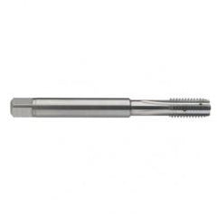 M8 x 1.25 Dia. - 6H - 4 FL - Carbide Semi-Bott Tap - Bright Finish-Coolant-Thru-FORM-C - Exact Tool & Supply