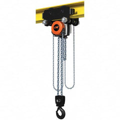 CM - 11,023 Lb Capacity, 10' Lift Height, Manual Chain Hoist - Exact Tool & Supply