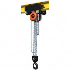 CM - 11,023 Lb Capacity, 30' Lift Height, Manual Chain Hoist - Exact Tool & Supply