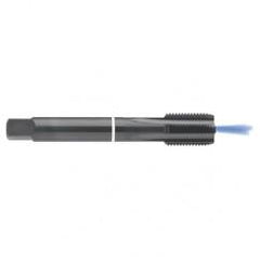 M20 x 2.5 Dia. - 6H - 5 FLX - Cobalt Semi-Bott White Ring Tap - Blk-Ox-Coolant-FORM-C - Exact Tool & Supply