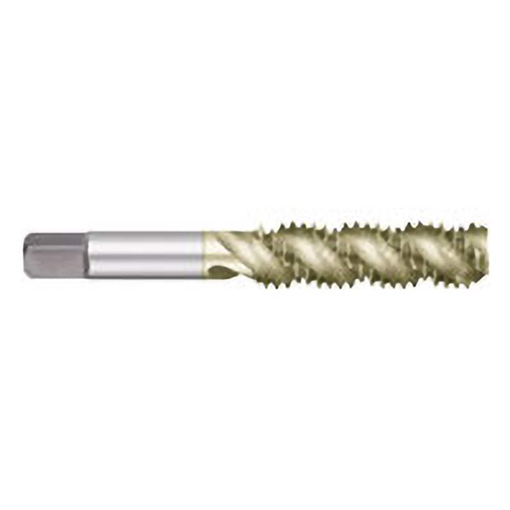 Titan USA - Spiral Flute Taps; Thread Size (Inch): #6-40 ; Chamfer: Semi-Bottoming ; Class of Fit: 2B/3B ; Thread Limit: H3 ; Number of Flutes: 2 ; Material: High Speed Steel - Exact Tool & Supply