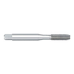 Titan USA - Thread Forming Taps; Thread Size (Inch): #8-36 ; Class of Fit: 2B/3B ; Thread Limit: H4 ; Chamfer: Bottoming ; Finish/Coating: Uncoated ; Material: High Speed Steel - Exact Tool & Supply