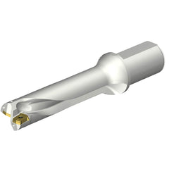 Sandvik Coromant - Indexable Insert Drills; Drill Style: DS20 ; Drill Diameter (mm): 42.00 ; Drill Diameter (Decimal Inch): 1.6535 ; Maximum Drill Depth (mm): 169.28 ; Shank Type: Straight with Flat ; Shank Diameter (mm): 50.0000 - Exact Tool & Supply