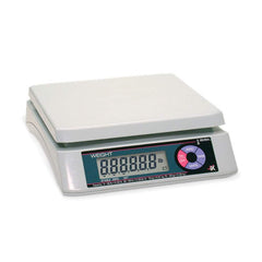 Rice Lake Weighing Systems - 15 Lb Portion Control Scale - Exact Tool & Supply