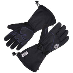 Ergodyne - Work & General Purpose Gloves; Material Type: Thinsulate ; Application: Cold Storage; Refrigeration; Mining; Freezer Work; Service Tech Work; Construction ; Coated Area: Palm & Fingertips ; Women's Size: Large ; Men's Size: Large ; Hand: Pair - Exact Tool & Supply