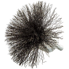 Norton - End Brushes Brush Diameter (Inch): 3 Fill Material: Carbon Steel - Exact Tool & Supply