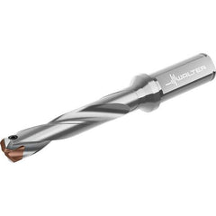 Walter - 13 to 13.99mm Diam, 5xD, 96mm Max Depth, 16mm Shank Diam, 146mm OAL, Replaceable Tip Drill - P6001-D13..R, P6003-D13..R, P6004-D13..R, P6005-D13..R Insert, D4140 Toolholder, Series D4140 - Exact Tool & Supply