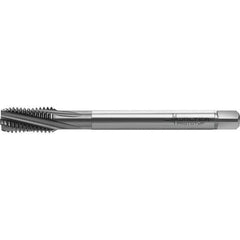 Walter-Prototyp - M12x1.75 Metric 4 Flute 6HX Semi-Bottoming Spiral Flute Tap - High Speed Steel, TiCN Finish, 110mm OAL, Right Hand Flute, Right Hand Thread, Series TC122 - Exact Tool & Supply
