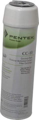 Pentair - 2-7/8" OD, 20µ, Granular Activated Carbon Maximum Absorption Cartridge Filter - 9-3/4" Long, Reduces Tastes, Odors & Sediments - Exact Tool & Supply