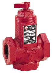 Bell & Gossett - 2" Pipe, Cast Iron Manually Operated Plumbing Valve - Buna Seal, FNPT - Exact Tool & Supply