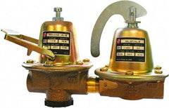 Bell & Gossett - 1/2" Inlet, 1/2" Outlet, FNPT, Dual Control Regulator Relief Valve - 125 Max psi, Lead Free Brass - Exact Tool & Supply