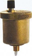 Bell & Gossett - 1/8" Pipe Automatic Air Vent - 150 Max psi, NPTM End Connection - Exact Tool & Supply
