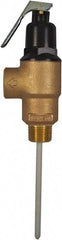 CASH ACME - 3/4" Inlet, 3/4" Outlet, MNPT x MNPT, ASME Safety Relief Valve - 150 Max psi, Bronze, 500000 BTUs - Exact Tool & Supply