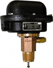 McDonnell & Miller - 300 psi, Brass Housing, Adjustable Paddle Flow Switch - 7.7 Flow Set Point, 35,004 Flow Point cc/min, 4.8 to 998 GPM, 120/240 Voltage, 1-1/4 Inch Thread Size - Exact Tool & Supply