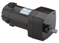 Leeson - 1/15 Max hp, 142 Max RPM, Electric AC DC Motor - 115 V Input, Single Phase, 31 Frame - Exact Tool & Supply