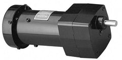 Leeson - 1/15 Max hp, 94 Max RPM, Electric AC DC Motor - 115 V Input, Single Phase, 31 Frame - Exact Tool & Supply
