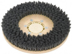 Clarke - 26" Diam Scrubbing Brush - 26" Machine, Black Pad, Polypropylene - Exact Tool & Supply