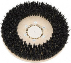 Clarke - 26" Diam Scrubbing Brush - 13" Machine, Black Pad, Polypropylene - Exact Tool & Supply