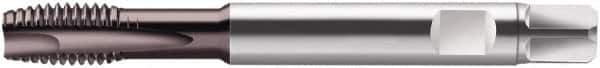 Walter-Prototyp - M20x2.50 Metric, 4 Flute, Hardlube Finish, Cobalt Spiral Point Tap - Plug Chamfer, Right Hand Thread, 140mm OAL, 25mm Thread Length, 16mm Shank Diam, 6HX Class of Fit, Series S2026302 - Exact Tool & Supply