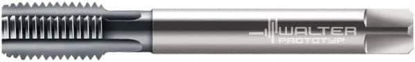 Walter-Prototyp - 3/8-19" BSPP, 5 Flutes, Modified Bottoming Chamfer, TiCN Coated, Powdered Metal British Standard Pipe Tap - 0.4724" Shank Diam, 0.3543" Square Size, Series E2436406 - Exact Tool & Supply