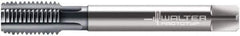 Walter-Prototyp - 3/8-19" BSPP, 5 Flutes, Modified Bottoming Chamfer, TiCN Coated, Powdered Metal British Standard Pipe Tap - 0.4724" Shank Diam, 0.3543" Square Size, Series E2436406 - Exact Tool & Supply