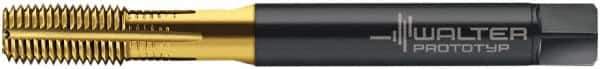 Walter-Prototyp - 1/4-28 UNF 2B Modified Bottoming Thread Forming Tap - Cobalt, TiN Finish, 80.01mm OAL, 15.01mm Thread Length, Right Hand Thread, Series ACP2361745 - Exact Tool & Supply
