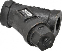 Legend Valve - 1/2" Pipe, FNPT Ends, Cast Iron Y-Strainer - 500 psi WOG Rating, 250 psi WSP Rating - Exact Tool & Supply