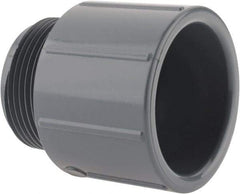 Value Collection - 1-1/4" CPVC Plastic Pipe Male Adapter - Schedule 80, MIPT x Slip End Connections - Exact Tool & Supply