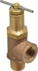 Conbraco - Bypass Relief Valve - 250 Max psi, Bronze - Exact Tool & Supply