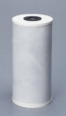 Pentair - 4-1/2" OD, 25µ, Granular Activated Carbon Radial Flow Cartridge Filter - 9-3/4" Long, Reduces Tastes, Odors & Sediments - Exact Tool & Supply