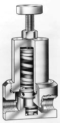 Simtech - 1/4" Inlet, Thermoplastic Relief Valve - 125 Max psi, PVC & EPDM - Exact Tool & Supply