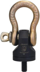 Jergens - 1,000 Lb Load Capacity Hoist Ring - 3/8 - 16 Thread, 0.56" Thread Length, Alloy Steel - Exact Tool & Supply