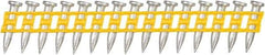 DeWALT - 9 Gauge 0.145" Shank Diam 3/4" Long Concrete Nails for Power Nailers - Steel, Zinc Finish, Smooth Shank, Angled Stick Plastic Collation, Round Head - Exact Tool & Supply